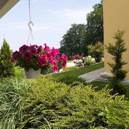 Villa Casa Sol-Rural Residence Near Linz Katsdorf Dış mekan fotoğraf